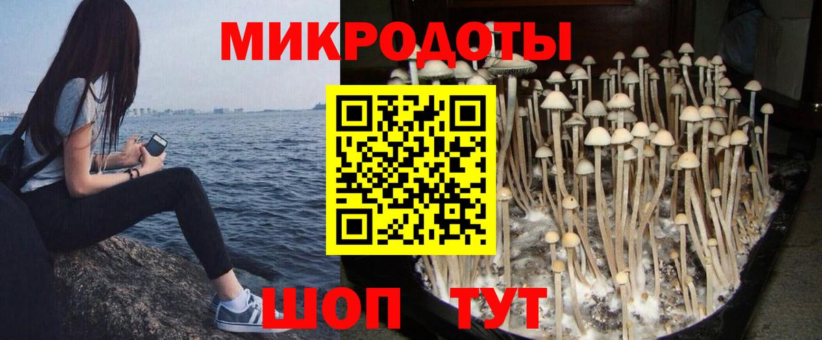 Галлюциногенные грибы MAGIC MUSHROOMS Буйнакск