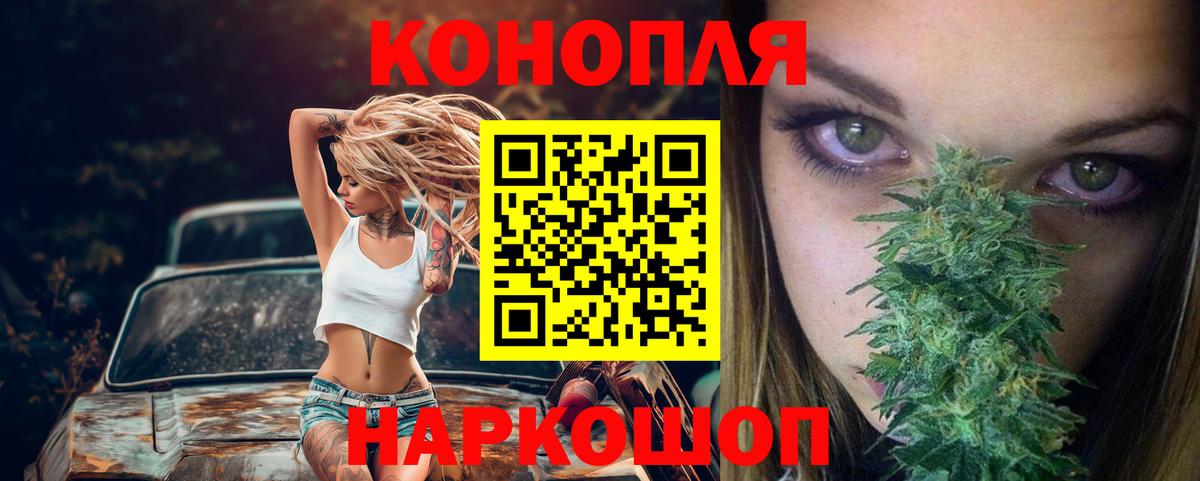 Шишки марихуана марихуана Буйнакск