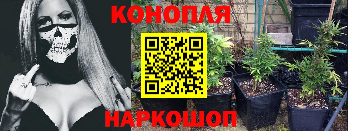 Канабис LSD WEED  Бошки марихуана White Widow  МАРИХУАНА AK-47  Буйнакск  Вход с VPN  Марихуана конопля 